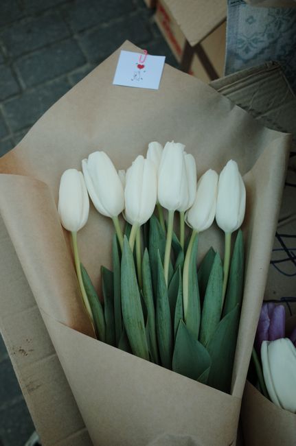 A bouquet of fresh, white tulips with smooth, closed petals and long green stems, arranged in brown kraft paper wrapping. The tulips are positioned upright, showcasing their elegant blooms and lush fo